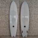 Twin fin mid length fish
